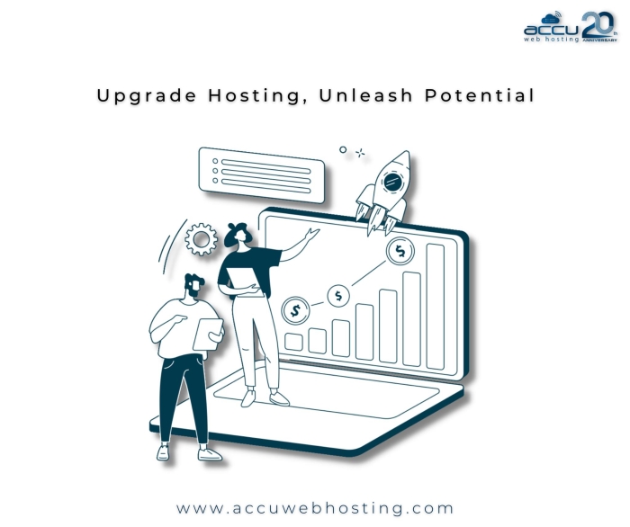 About AccuWeb Hosting